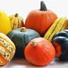 Squash: Winter