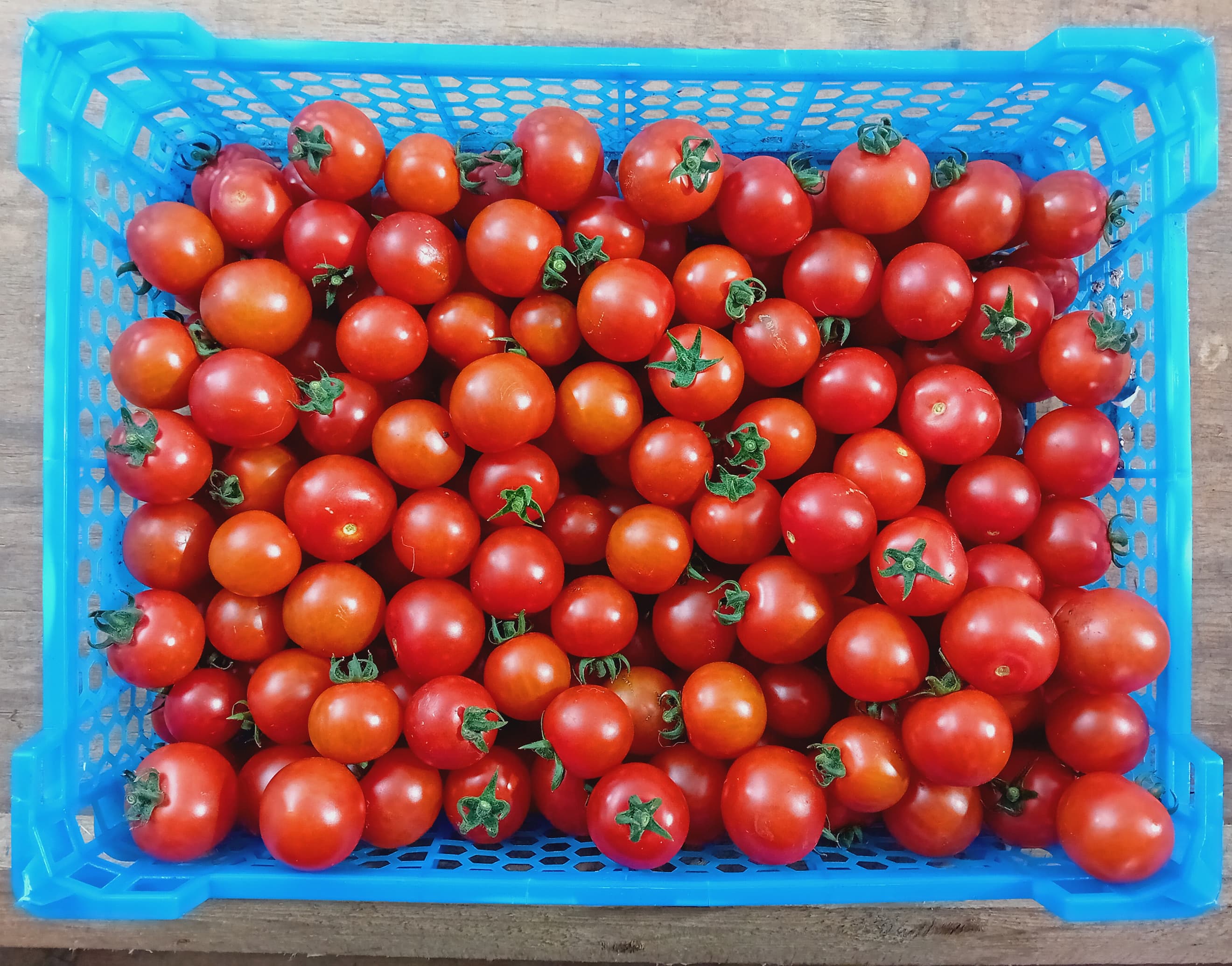 Tomatoes, Red Cherry - 4kg Tray